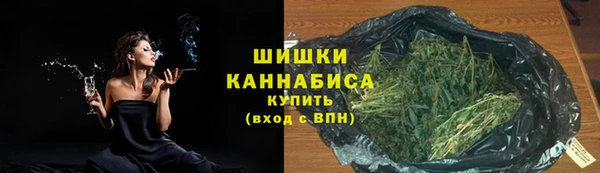 хмурый Горняк