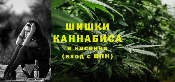 хмурый Горняк