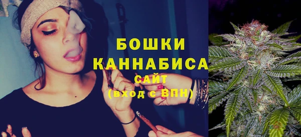 хмурый Горняк