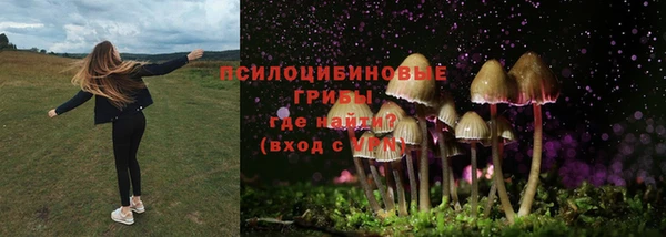 хмурый Горняк